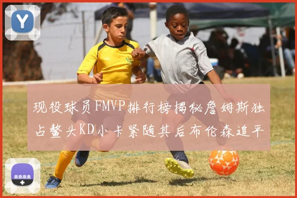 现役球员FMVP排行榜揭秘詹姆斯独占鳌头KD小卡紧随其后布伦森追平库里约基奇等